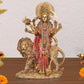 Resin Standing Durga Maa with Lion Idol Hindu Goddess Sherawali MATA Murti MATA Rani Statue Figurine Home Temple (Height: 11 Inch)