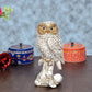 Polyresin Owl for Table Top Home Decor Height 8.5 Inch