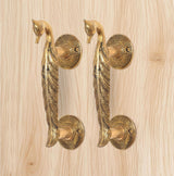 Angled view of brass peacock door handle pair with four round rosettes
