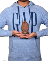 Lord Shiva nine-face brass stupa idol held in hands for size reference