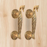 Golden brass peacock lever door handles with four round rosettes visible