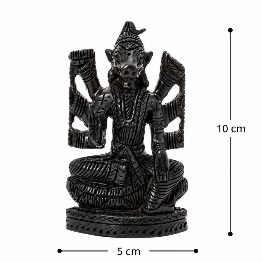 Authentic Karungali Varahi Amman Figurine Craft Detail