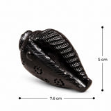 Dark carved conch shell decor with ridged spiral and small dotted accents.