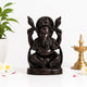 Sacred Karungali Lord Ganesha Statue with Draped Stole