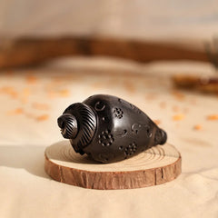 Dark decorative conch shell with spiral ridges and dotted pattern on a wooden stand.