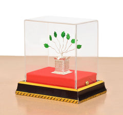 Tulsi plant in clear cube with red cushion, black base trim and silver pot