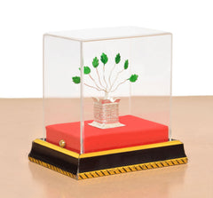 Tulsi plant display from front: clear box over red cushion, silver pot with green leaves
