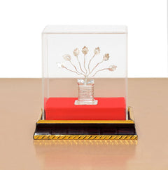 Tulsi plant under clear box: silver pot with metallic light leaves on red base