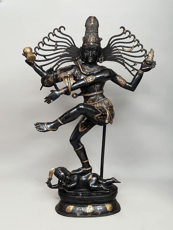Brass Colossal Size Dancing Shiva Nataraja Sculpture (Height: 57 Inches) Entryway Setting