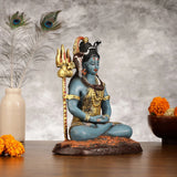 Lord Shiva brass statue from side, blue-skinned seated figure, detailed face and trident