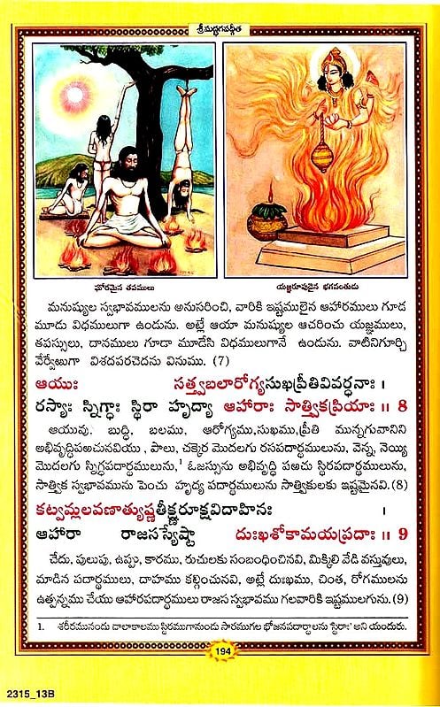 శ్రీమద్భగవద్గీత (సచిత్ర - శ్లోక - తాత్పర్య సహితము)- Srimad Bhagavad Gita Illustrated with Verses (Telugu)