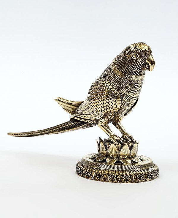 Brass parrot statue, detailed feathers, lotus-style base, 6.5 in tall