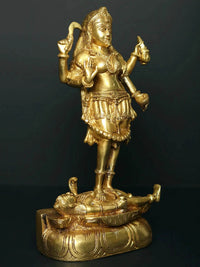 AONA brass Kali statue with raised arms, standing on Shiva base with relief carvings