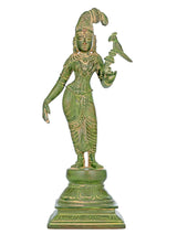 Mud green brass statue of Devi Andal holding a parrot, 12 in tall