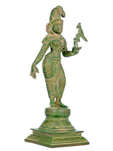 Mud green brass Devi Andal statue facing left, parrot in raised right hand