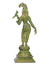 Mud green brass Devi Andal statue with parrot held beside her on round base