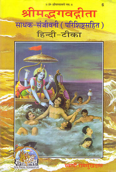 श्रीमद्भगवद् गीता (साधक हिन्दी टीका) का रंगीन पुस्तक आवरण, भगवान कृष्ण चित्र सहित
