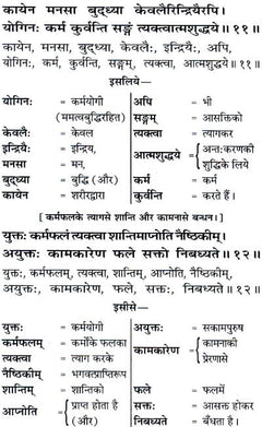 श्लोक व शब्दार्थ पेज: संस्कृत पंक्तियाँ और हिंदी में शब्दों के अर्थ