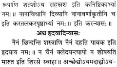 श्लोकों का पेज: स्वप्नं शय्यो तथा साधनार्थ से जुड़े संस्कृत शब्द