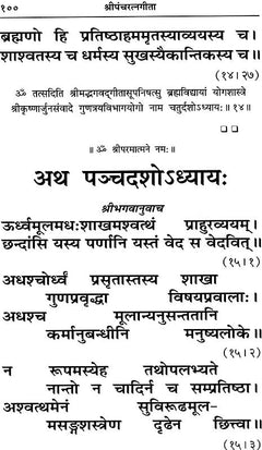 श्री पञ्चरत्नगीता श्लोक पेज, 'अथ पञ्चदशोऽध्याय' शीर्षक