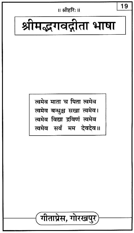 श्रीमद्भगवद्गीता भाषा: Gita in Simple Hindi Entryway Setting