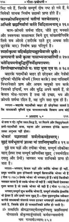 गीत-व्याख्या पृष्ठ, श्लोकों का अनुच्छेद