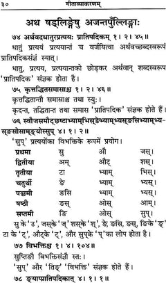 गीताव्याकरणप्रकरण पृष्ठ, पद्य-पंक्तियाँ और क्रमांकित व्याख्या