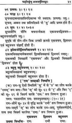 गीताव्याकरणम् पृष्ठ: उपखंड “पदलिङ्गसूत्र” के अंतर्गत व्याख्या