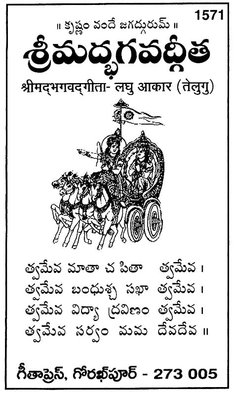 Srimad Bhagavad Gita (Telugu) Entryway Setting