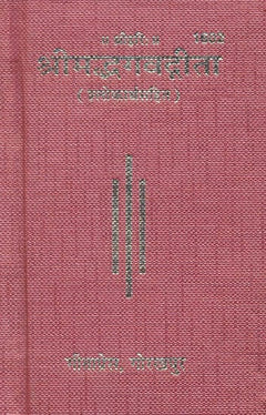 श्रीमद्भगवद्गीता Pocket Size: गुलाबी-लाल आवरण पर शीर्षक और त्रिशूल चिह्न