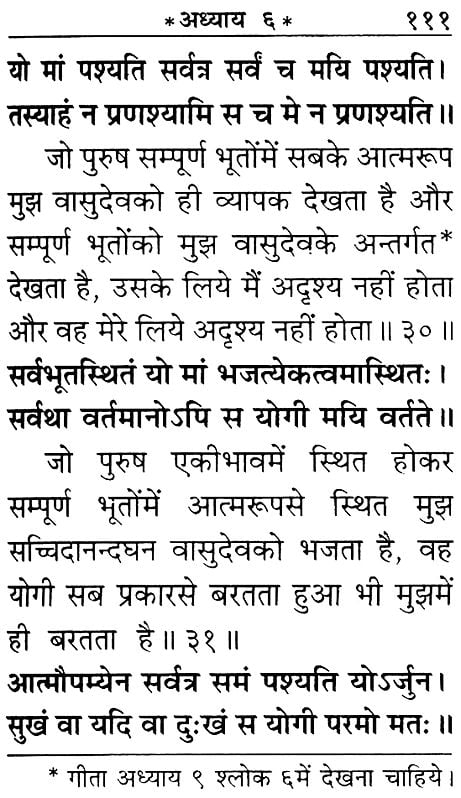 श्रीमद्भगवद्गीता: Pocket Size Gita