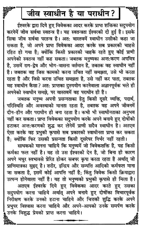 गीता दैनन्दिनी: Daily Diary of Gita (2025)