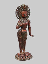 Standing Tara brass idol with large halo, left hand resting, decorative base