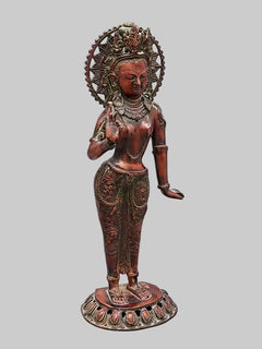 Standing Tara brass idol with large halo, left hand resting, decorative base