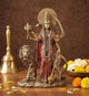 AONA Resin Durga Maa with Lion Sherawali Maa Idol 