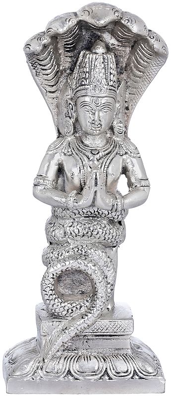 Brass Alluring silver Patanjali Idol (Height : 8 Inches)