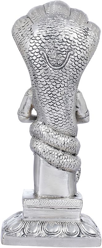 Brass Alluring silver Patanjali Idol (Height : 8 Inches)
