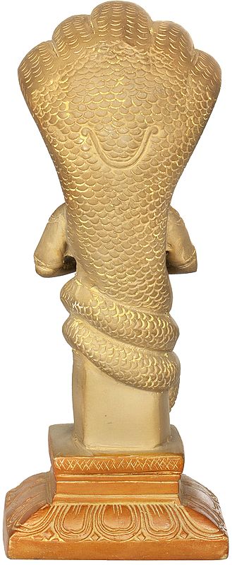 Brass Amazing Cemented Gold Patanjali Idol (Height : 8 Inches) Study Setting