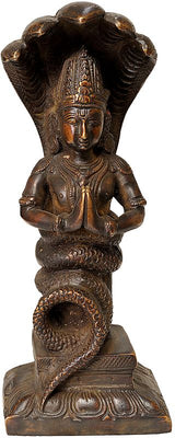 Antique brown Patanjali idol (8 in), seated with folded hands