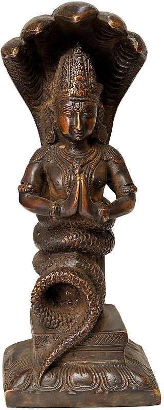 Brass Antique brown Patanjali Idol (Height : 8 Inches)