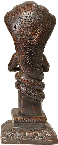 Antique brown Patanjali idol (8 in), back view with detailed scales
