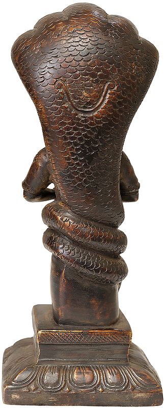 Brass Antique brown Patanjali Idol (Height : 8 Inches)