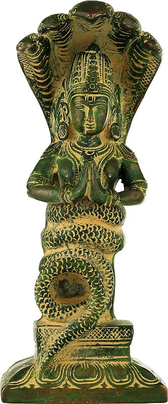 Brass Green Chola Patanjali Idol (Height : 8 Inches)