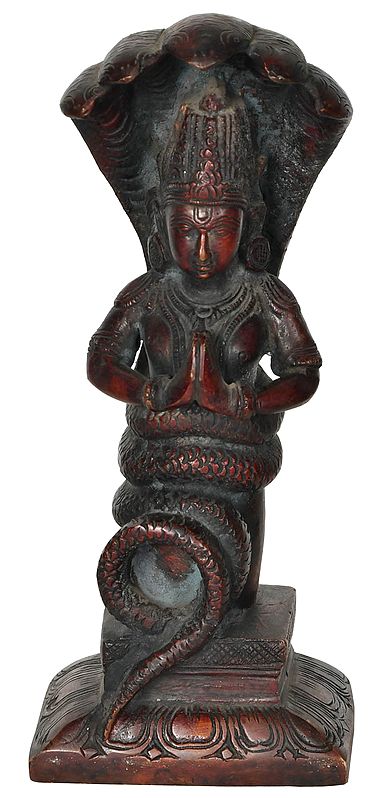 Brass Red Chola Patanjali Idol (Height : 8 Inches)