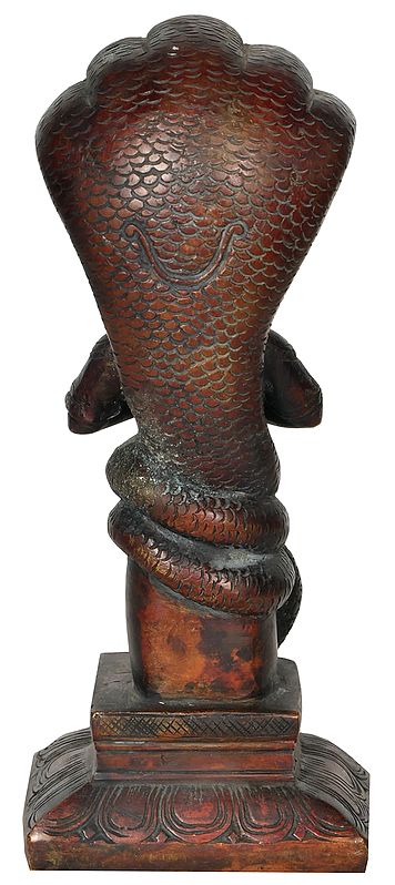 Brass Red Chola Patanjali Idol (Height : 8 Inches) Craft Detail