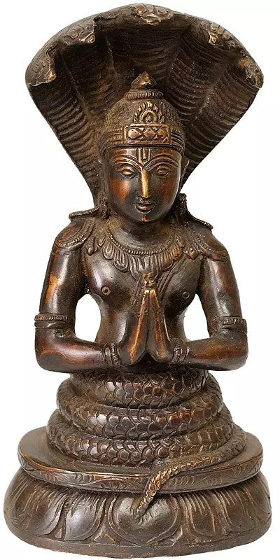 Brass Indian cocoa Sage Patanjali Sculpture (Height : 8 Inches)