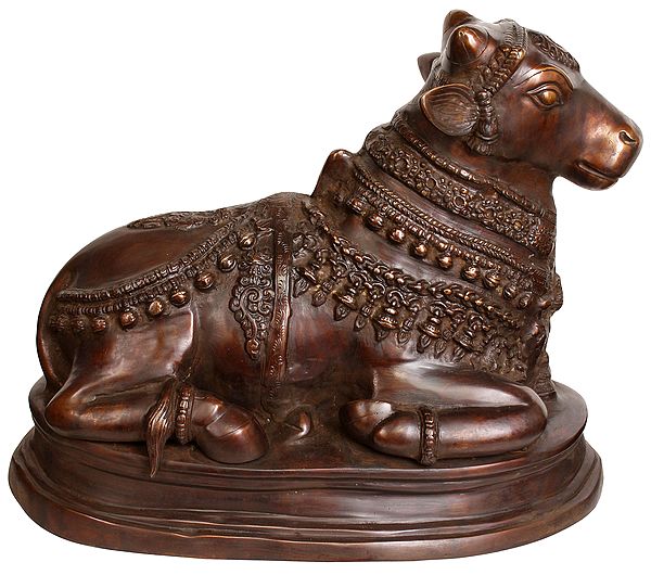 Traditional Brass Vahana Nandi of Lord Shiva | Handmade in India (Height: 14 Inches)