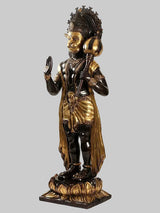 Brass Hanuman full-figure sculpture, golden drape and dark body, side view, raised hand